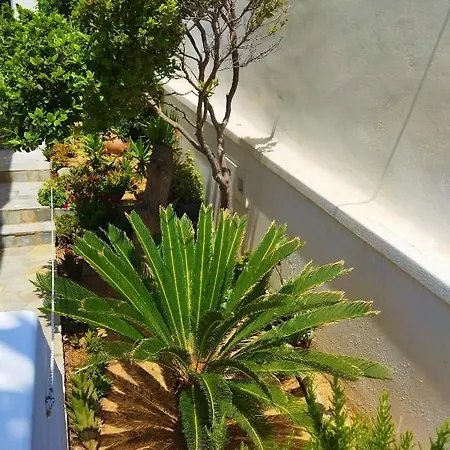 Kefalas In Appartamento *